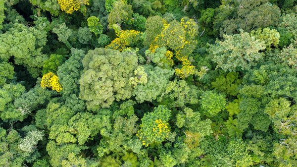 Comprendre les antagonismes autour du droit de grève